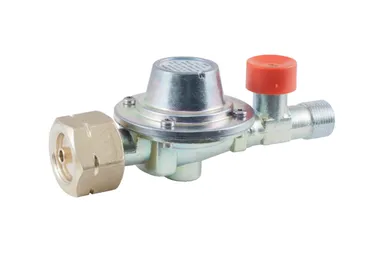 LPG Regulator + Hose Rupture Device Komb.A SK - Hose Stem