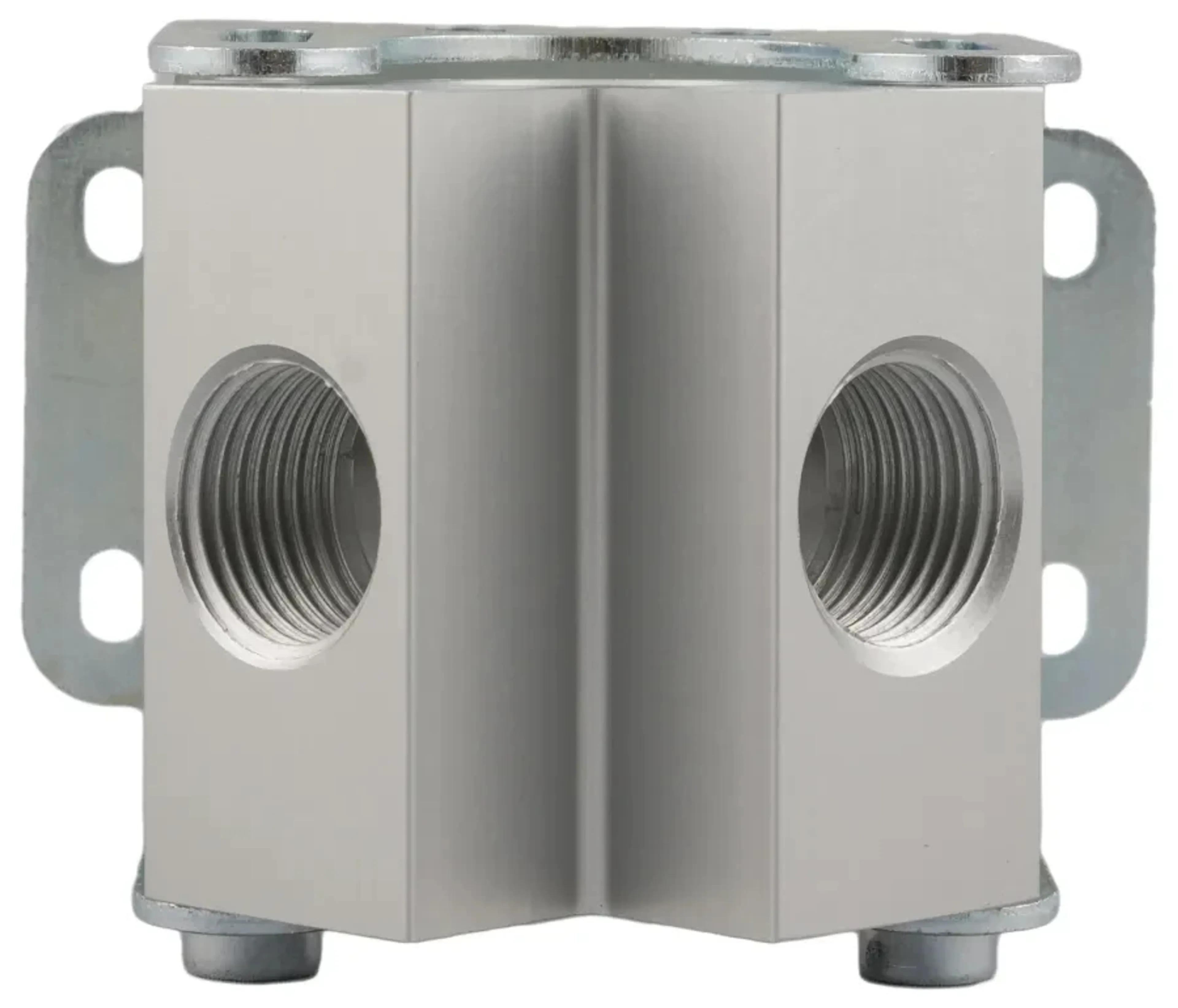 Aignep - 90642 2 WAYS MANIFOLD
