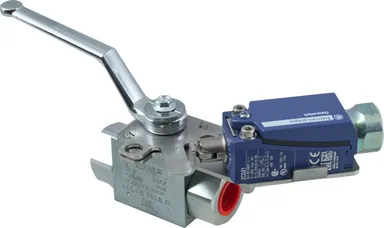 BKHRKLS - High pressure ball valve with limit switch