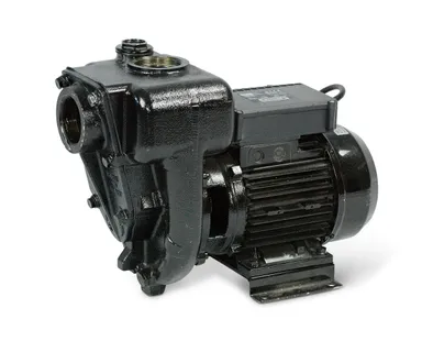 Piusi E300 diesel pump