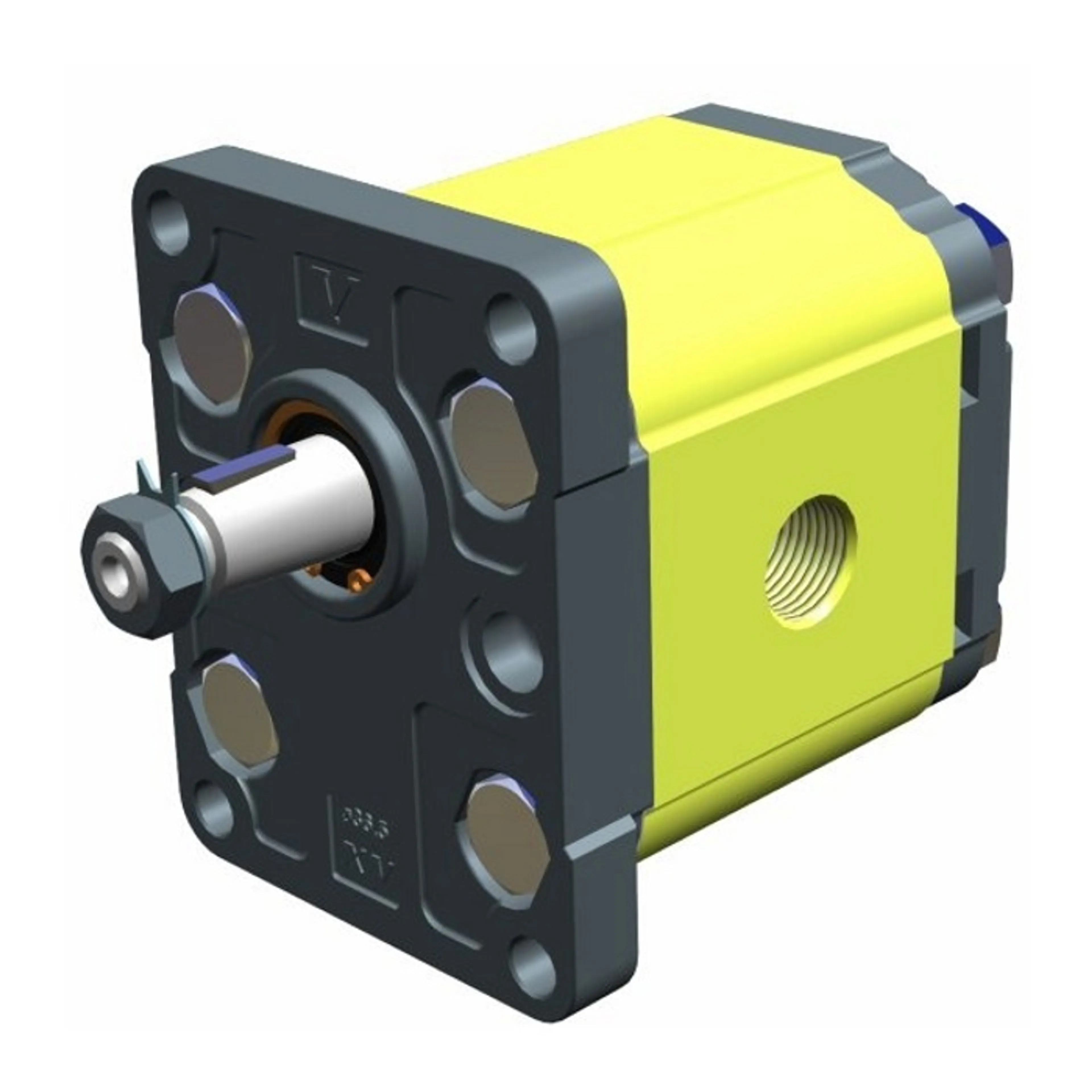 XV-2M - gear motors, 2-series with BSP ports