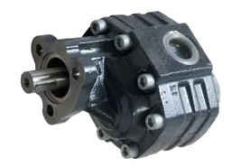 Cast iron gear pumps