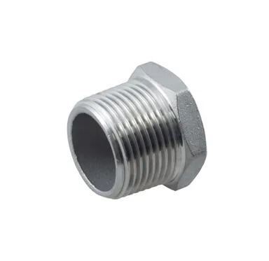 SS19 - SS hex head plug