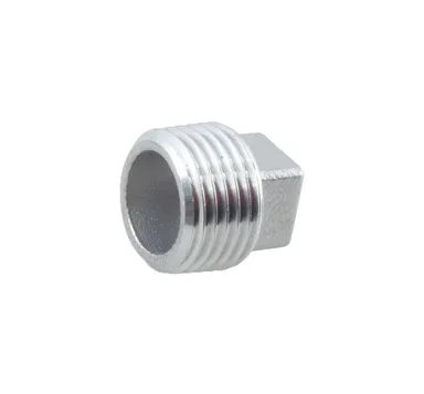 SS191 - AISI316 plug square head