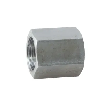 SS4040 - Sleeve BSP stainless steel