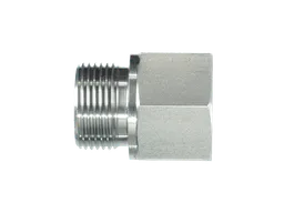 Stainless steel BSP adapters