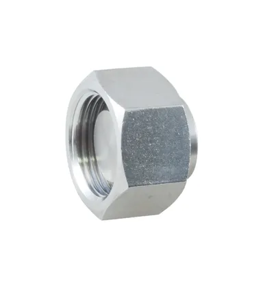 SS5420 - Cap BSP HST