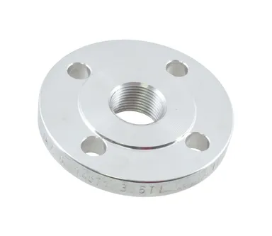 SSDIN2566 - AISI316 DIN-flange inner thread