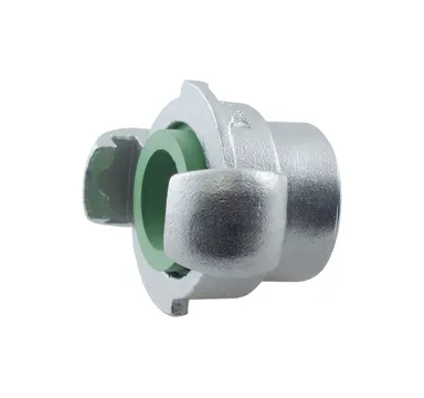 SSKIG - Claw coupling with internal thread AISI 316