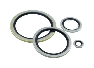 SSUSITR - AISI 316 stainless steel bonded seal