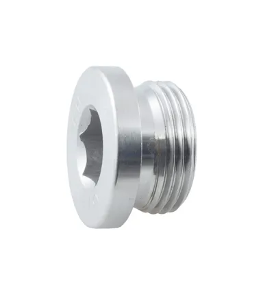 SSVST - Hex socket plug AISI316