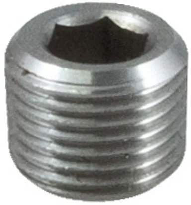 SSVSTD - Hexagon plug AISI316