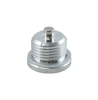 TCEM - Magnetic plug hex socket