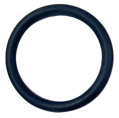 Sanel - o-ring